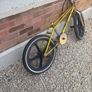 bmx kids Image 4