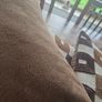 4 cushions Image 3