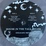 Kikagaku Moyo - House in the Tall Grass (LP, Album, Ltd, RP, Smoke grey vinyl Image 3