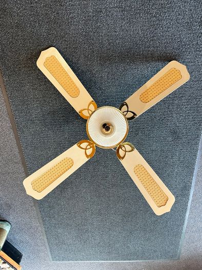 Ceiling fan light