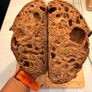 Dehydrated Sourdough Starter Image 5