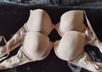 Size 34A - 2 Beige Colour - #