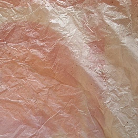 Vintage Quinsworth plastic bag