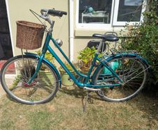 Adult City Bike