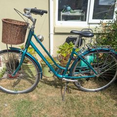 Adult City Bike