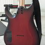 Schecter Sunset Extreme Image 4