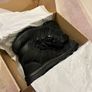 Snickers Toe Guard Nitro Work boots Image 2
