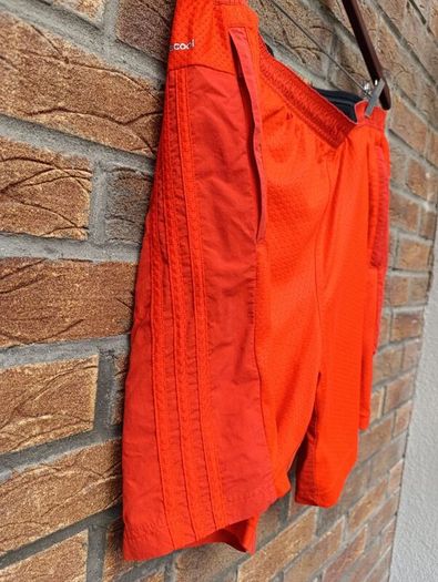 Vibrant Orange Adidas Shorts Mens Large