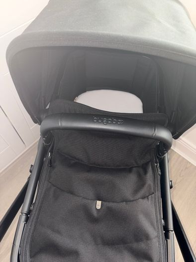 Black bugaboo renew