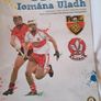 GAA Hurling Programmes (Ulster) X 7 Image 5