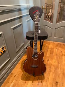 Fender Guitar Seat and Stand