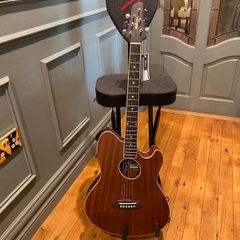 Fender Guitar Seat and Stand