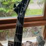 Jackson Concert Bass - David Ellefson Signature Image 4