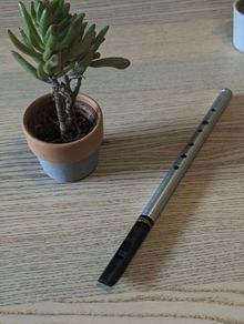 Tony Dixon high D tinwhistle / whistle