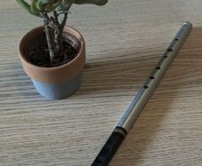 Tony Dixon high D tinwhistle / whistle