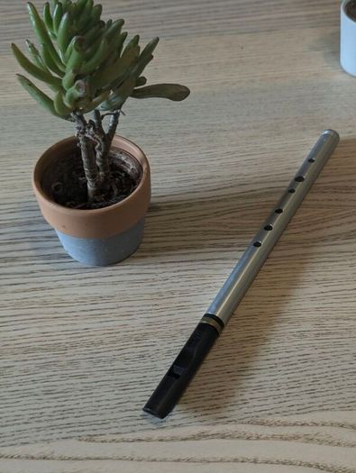 Tony Dixon high D tinwhistle / whistle