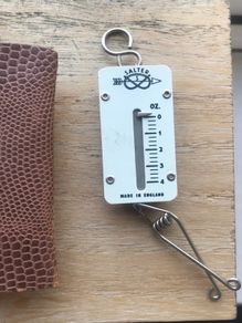 Salter Letter Scale