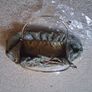 Bag Image 2