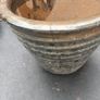 pot Image 2