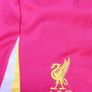Boys LFC Nike Shorts Image 2
