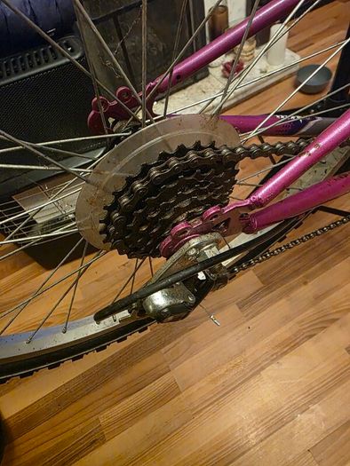 Emmelle Saphire 12 Speed Girls Mountain Bike