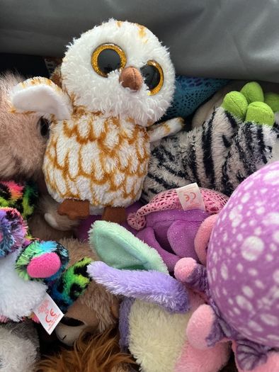 beanie boos
