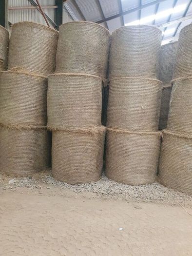 Hay