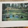 Fish Stone Water. The Holy Wells Of Ireland.  By Anna Rackard & Liam O' Callaghan. First Edition Large Volume Hardback In Good Condition.  See Photos For Same. Image 7