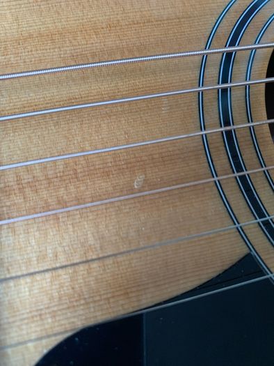 Taylor 317e Grand Pacific with Hard Case
