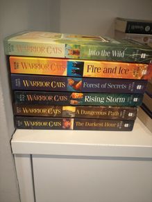 Warrior Cats - Series 1