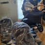 Nuna Mixx Pipa Car Seat & Basinet Image 2