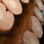 Wood slice Image 3