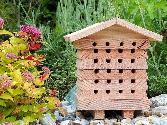 Wildlife World Solitary Bee Hive