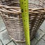 basket Image 4