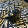 Logitech G29 Steering Wheels And Pedals Set Image 3