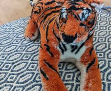 Teddy tiger