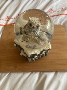 Owl snow musical globe