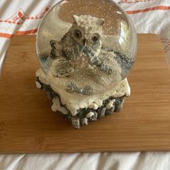 Owl snow musical globe