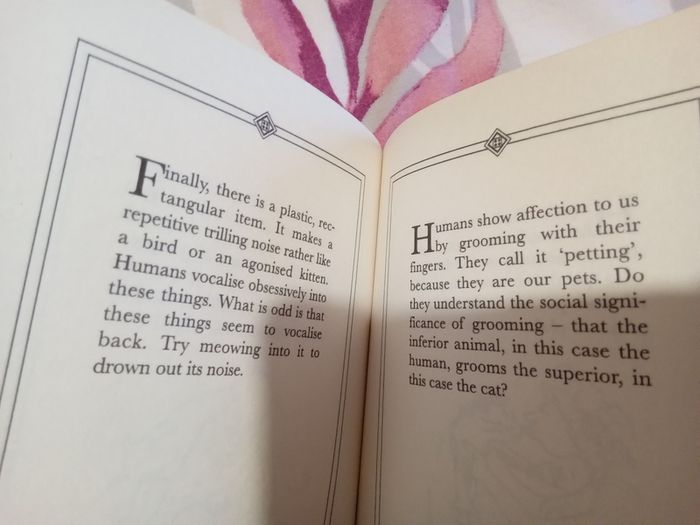 hundred secret thoughts cats have about humans  NEW
