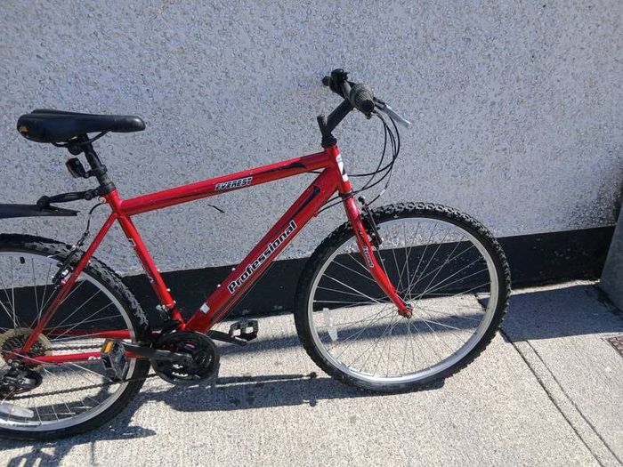 Adults Bike