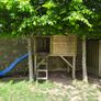 Tree House Image 2