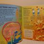 USBORNE First encyclopedia of the human body Image 6