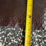 Snake Skin Image 5