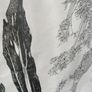 2 x Framed Black & White Drawings Image 6