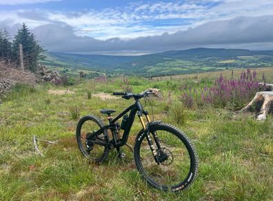 Trek fuel MX 9.8