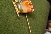 Irish American lapel pin