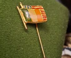 Irish American lapel pin