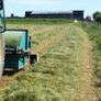 Silage haylage Image 2