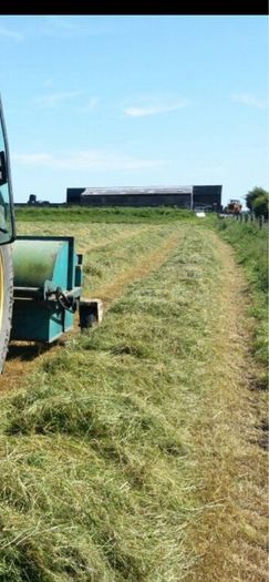 Silage haylage
