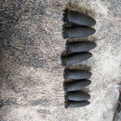 corn holders
